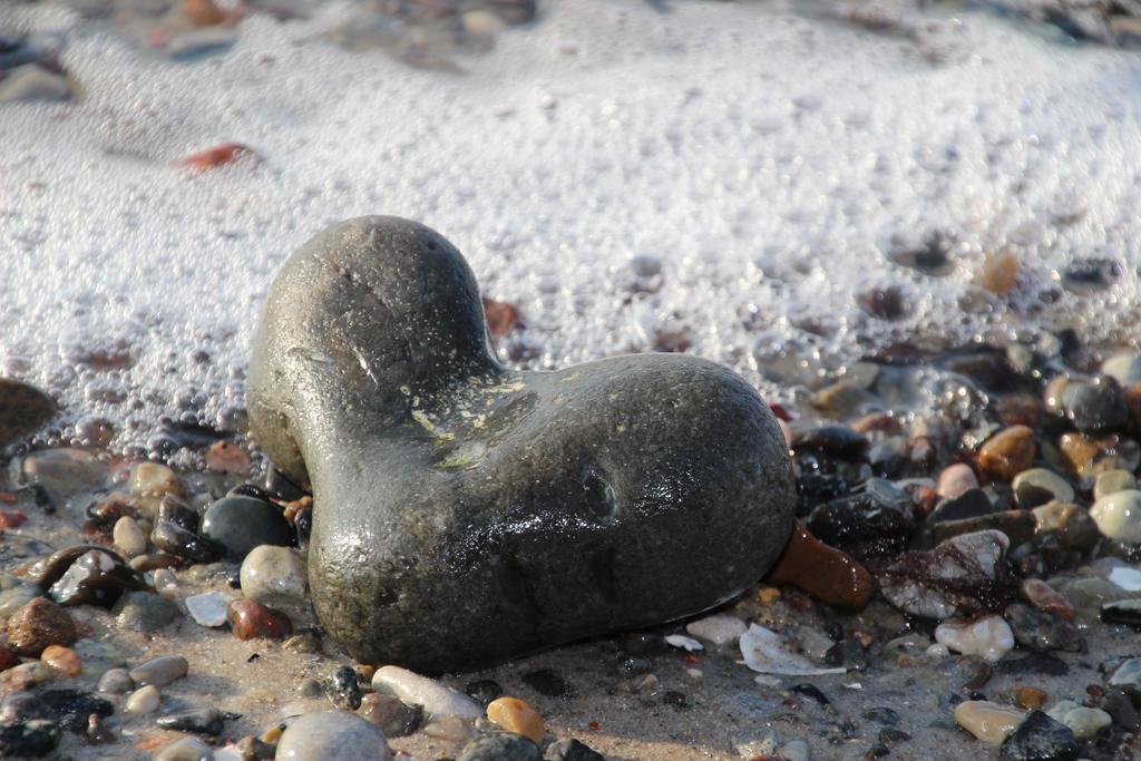 Meine Fischerhuette Börgerende-Rethwisch Exteriör bild
